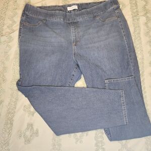 Lane Bryant Medium Wash High Rise Ultimate Stretch Jegging sz 22